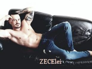 ZECElei