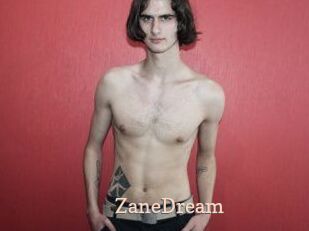 ZaneDream