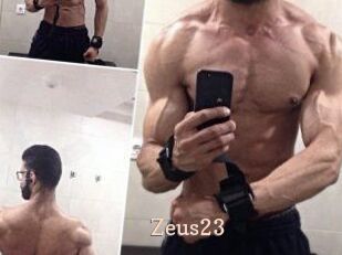 Zeus23
