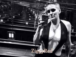 ZiggyRed