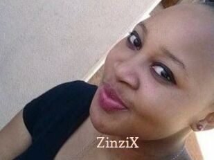 ZinziX