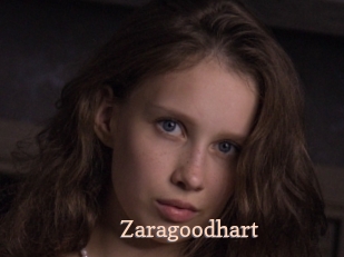 Zaragoodhart
