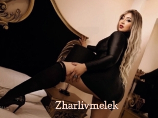 zharlivmelek Chaude Vision