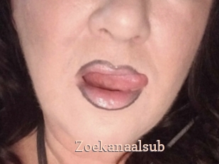 Zoekanaalsub
